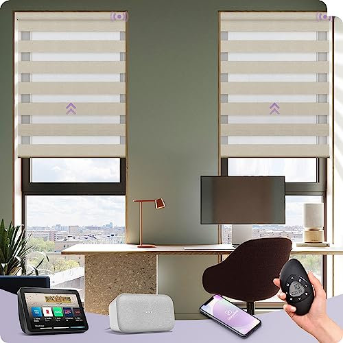 Graywind Smart Zebra Blinds, Motorized, Blackout & Sheer Blend, Coffee, Compatible With Alexa Google, Privacy Protection, Rechargeable Electric Day Night Blinds, Ideal For High Windows & Indoor Use