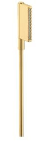 hansgrohe AXOR One Handbrause 2jet, 45720250, Farbe: Brushed Gold Optic