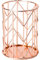 Rose Gold Office Supplies Metall Bleistifthalter Multipurpose -Schreibtisch Veranstalter Roségoldener Stifthalter für Make -up -Bürstenstift