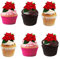24 rote, Winter, Weihnachtssterne, Blume, essbar, Waffelpapier, Kuchendeko, Dekorationen.