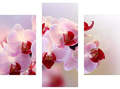 decorwelt | Dreiteiliges Wandbild 3 Teilig Acrylglasbilder Acryl Glasbild Orchidee Pink 90x70 cm Wandbilder Wohnzimmer Esszimmer Deko Wanddeko