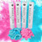 Clover Products LLC Cannone a polvere per rivelazione del sesso Premium - Confezione da 4, include 2 blu e 2 rosa da 12 pollici, alimentati ad aria compressa.