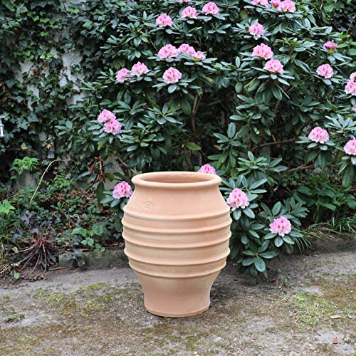 Palatina Werkstatt Exclusif Terracotta Amphore Agave 50 cm – 100 % pièce unique – Amphore résistante à l'hiver pour jardin et maison