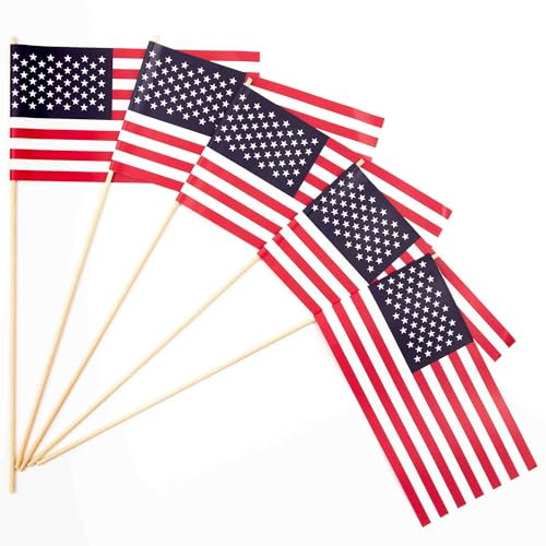 Papierfähnchen: USA 50er Packung