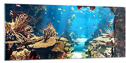Moderne Impression sur Verre 100x40cm Image Tableau en Verre Decoration Murale Océan Récif Poissons Corail Grand Tableaux Decoratifs Muraux Chambre Panoramique Deco Cadre Salon Art GAB100x40-2872