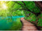 Runa Art Fototapete Brücke zum See 352 x 250 cm Vlies Tapeten XXL Moderne Wandtapete Wohnzimmer Schlafzimmer Grün 9053011a