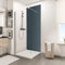 Schulte 1 panneau mural 90 x 210 cm, épaisseur 3 mm, surface 1.89 m², anthracite, revêtement salle de bain douche, résistant aux rayures, livré avec adhésif double face