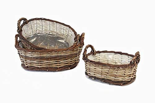 Korb Rohweide-Akazie, oval, 2 Henkel mit Einsatz