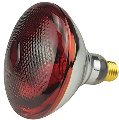 BONGBADA 2 Pack Heat Lamp Red Infrared Bulbs PAR38/250 Watts Glass Lamp Bulb for Food Service, Brooder Bulb, Chicks, Pet, Bathroom, Light Therapy Use E26 Base, Flood Light Heat Lamp Bulb