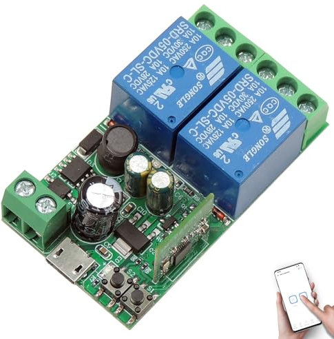 DieseRC Interruptor Inteligente WIFI de 2 canales, Módulo Relé de Salida Pasiva DC 5V 12V 24V 36V Aplicación Ewelink Control WIFI compatible con Alexa/Google Home, mode de avance lento/autobloqueo