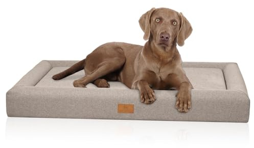 Knuffelwuff orthopädisches Hundebett TIVA M-L 80 x 60cm Hellbraun | Easy Clean Stoff wasserabweisend | Memory Foam Matratze | waschbar 30 °C | flaches Design gelenkschonend | kleine bis große Hunde