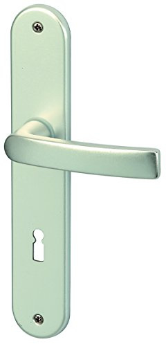 Alpertec aluminium Vanda - LS Langschildgarnitur für Zimmertüren in eloxiert BB Drückergarnitur Türdrücker Türbeschläge, 72 mm, silber, 40050900K1
