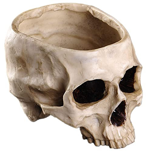 IBWell Grand Pot de Fleurs Moderne en résine 22,9 cm en Forme de tête de Mort - Décoration pour la Maison, Le Bureau