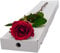 InterRose | Single Red Rose (large headed) Stem presented in a letterbox friendly box with a Name a Rose gift