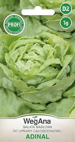 WegAna Butterhead Lettuce Adinal Seeds 1g, Lechuga Verde, Lechuga Butterhead, Semillas de Hortalizas Robustas, Semillas de Hortalizas, Semillas de Cultivo, Semillas de Invernadero