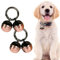 Extra Loud Cat & Dog Bell for Collar, Pet Tracker & Falconry, Durable Brass Collar Charms with Swivel Lobster Clasp (Rose Gold & Black, 2 Pack)