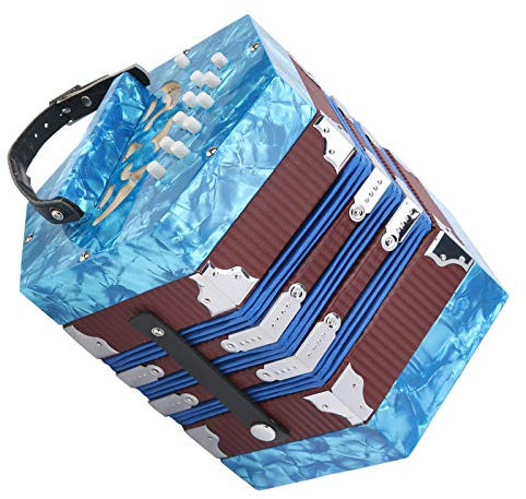Con Ion, Ziehharmonika-Akkordeon, tragbar, professionell, für Erwachsene, Ion, 20 Akkordeons, Musikinstrumentenbedarf, Blau (Blau)