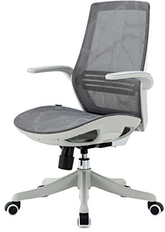 Mendler Bürostuhl HWC-J91, Schreibtischstuhl, ergonomische S-förmige Rückenlehne, Taillenstütze hochklappbare Armlehne - grau