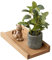 OAKERLAND Etagere Murale Bois Massif, 30cm Etagere Flottante en Chêne pour Maison, Bureau, Chambre, Salon, Salle de Bain, Cuisine