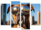 islandburner Bild auf Leinwand Cooler Boxer Hund trägt verspiegelte Sonnenbrille vor Stadtbild Bilder Wandbilder Poster