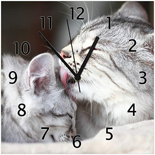 Wallario Design-Wanduhr Süße kleine getigerte Katzenbabys aus Glas, Motiv-Uhr Größe 30 x 30 cm, Schwarze Zeiger