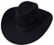DELIMALI Cowgirl-Hut, Cowboyhüte für Damen, flauschige Federkrempe, Cowboyhut für Junggesellinnenabschied, Cosplay, Kostümparty, E-Schwarz, Einheitsgröße