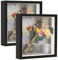 Alishomtll 3D Bilderrahmen zum Befüllen 20x20cm, 3D Objektrahmen Schwarz 2 Stücke, 3cm Tiefer Rahmen DIY Bilderrahmen 3D für Erinnerungsstücke Blumen Medaillen Geschenke Hochzeit Geburtstag