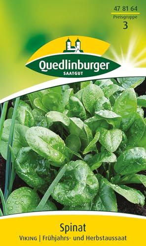 Quedlinburger 478164 Spinat Viking (Spinatsamen)