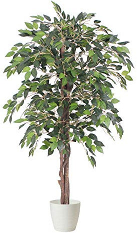 Tradala 3’11 Lush Artificial Tree in White Pot - Ficus 120cm / 3ft 11 Tall with Real Wood Trunk - For Home Living Room Indoors