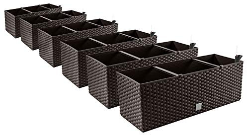 PAFEN 6in1 Set 6X Balkonkasten Blumenkasten Rattan-Optik 4 Farben Pflanztopf Wasserstandsanzeiger (Umbra)