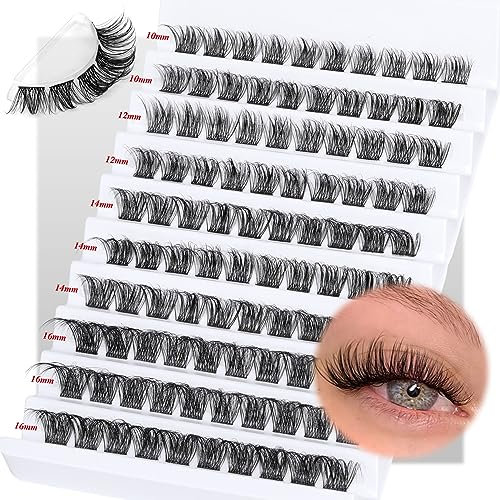 Individual Lashes, 100pcs Cluster Lashes Russian D Curl Eyelash Extension DIY Eyelashes Natural Wispy at Home by Goddvenus, 100.0 count, Pack of 100