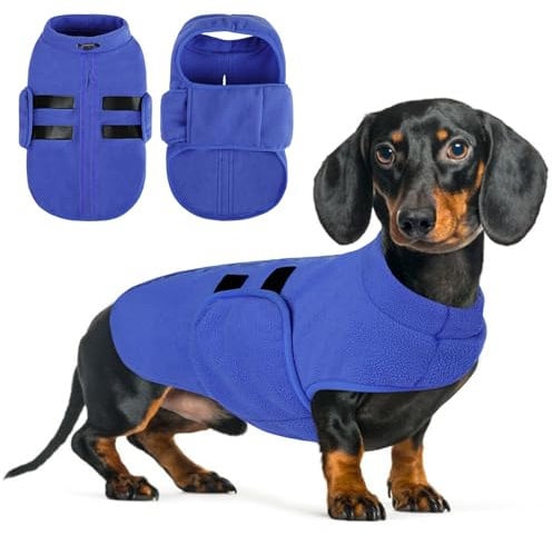 Queenmore Hundemantel Winter Fleece Warm Wintermantel Hund, Hundejacke Hundeweste Kleine Hunde, Hundepullover Dackel, Chihuahua, Bulldog, Greyhound, Blau, L