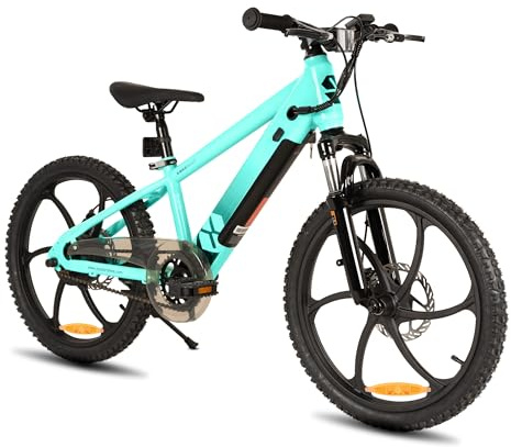 JOYSTAR 20 Zoll Elektrofahrrad für Kinder und Jugendliche ab 7 Jahren mit 250W bürstenlosem Motor, 6-Speichen Fahrradräder, grün