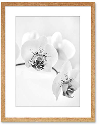 Wee Blue Coo Photo Nature Plant Orchid Flower Black White Framed Wall Art Print