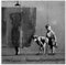 Tapete Vlies 312x312cm Banksy Voyeur Dusche Nr. H2954Z_TV5BX