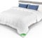 VOUNOT Bettdecke 220x240cm, 4 Jahreszeiten Daunendecke 300GSM Füllung, Atmungsaktive Schlafdecke Steppdecke ，Oeko-Tex Standard
