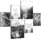 Novart Wandbilder Set Wald Landschaft Schwarz Weiss - KEIN EXTRA RAHMEN BENÖTIGT - Modern Deko - Wohnzimmer Schlafzimmer Flur N036663c
