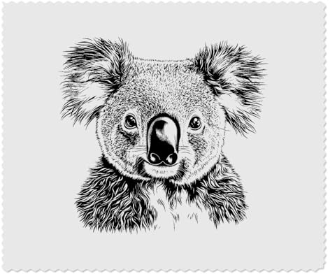 Azeeda 2 x 'Koala Portrait' Lens Cleaning Cloths (LC00031577) | Microfibre Cloths for Glasses, Sunglasses, Phones, Cameras and Screens
