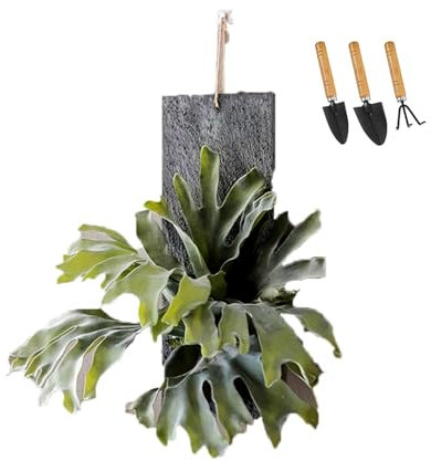 Wandpflanzer aus Holz, künstlicher Geweihfarn, Wanddekoration, Wohnzimmer-Pflanzgefäße, getrocknete Blumen, künstliche Pflanzen, moderne Bauernhaus-Hängevase aus Holz for Wohnzimmer, Schlafzimmer(Larg