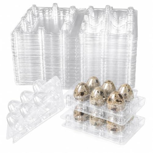 WEFHEF 30 Stück Wachteleierschachteln, 6 Gitter Wachteln Eierschachteln Eierkarton Plastik Eierhalter mit Deckel Transparente Quail Egg Kartons Eierpaletten Eier Aufbewahrungsbox für Wachtelfasan
