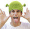 Union Power Shrek Hüte mit Ohren Erwachsene Cosplay Prop Halloween Cosplay Grün Beanie Hut Geschenke