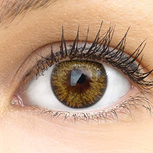 GLAMLENS Palermo Brown braun + Behälter | Sehr stark deckende natürliche braune Kontaktlinsen farbig | farbige Monatslinsen aus Silikon Hydrogel | 1 Paar (2 Stück) | DIA 14,00 | Ohne Stärke