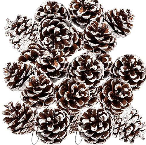 POTWPOT Christmas Natural Pine Cones, 25pcs Christmas Tree Pine Cones Rustic Snow Pine Cones with String Large Pine Cones for Fall and Christmas Party Decoration Home Decoration (4-5cm)