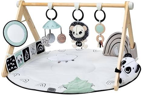 Tiny Love Luxe Developmental Gymini - Collection Décor Noir & Blanc Noir