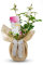 Diamond Wedding Rose - Gift Wrapped with Huge Gift Bow - 60th Wedding Anniversary Rose