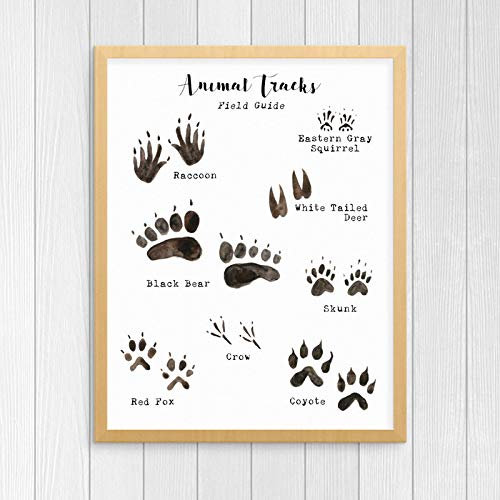 Woodland Animal Tracks Poster Leinwand Kunstdrucke, Animal Footprints Leinwand Gemälde Wandbild Rustikal Natur Dekor 40x60cm Rahmenlos