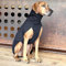 EDEL&SCHNELL Hundejacke reflektierend, Hundemantel mit Reißverschluss, Warmer Mantel für Hunde Größe 45-50, ideal für die Übergangszeit