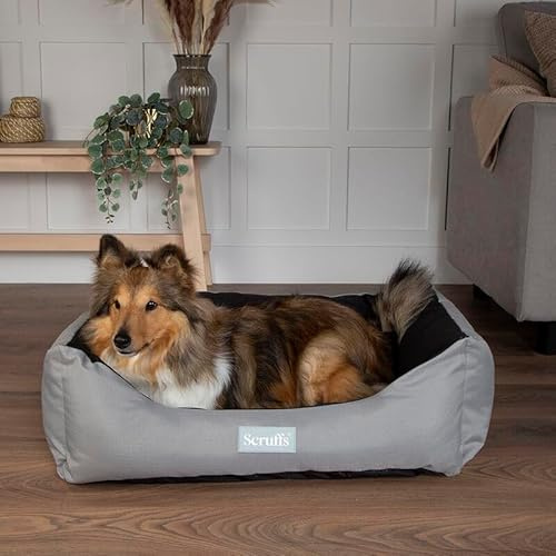 Scruffs Expedition Waterproof Travel Dog Box Bed (XLarge)