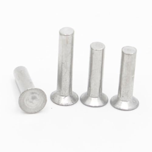 AYYSSM 5–50 Stück Senkkopf-Aluminium-Vollniete M2 M2.5 M3 M4 M5 M6 M8(M2.5 50pcs,4mm)
