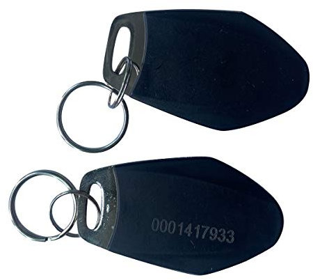125 kHz RFID-Tag Metall Stil Schwarz Schlüsselanhänger für Tür Zutrittskontrollsystem (100)
